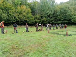 IMG 20250927 0826462 S