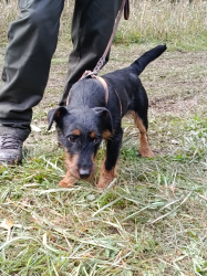 IMG 20250927 101927 S